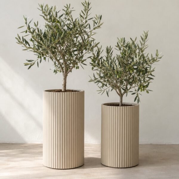 Pair of tall ribbed sand-beige steel floor planters with olive trees against a plain light wall