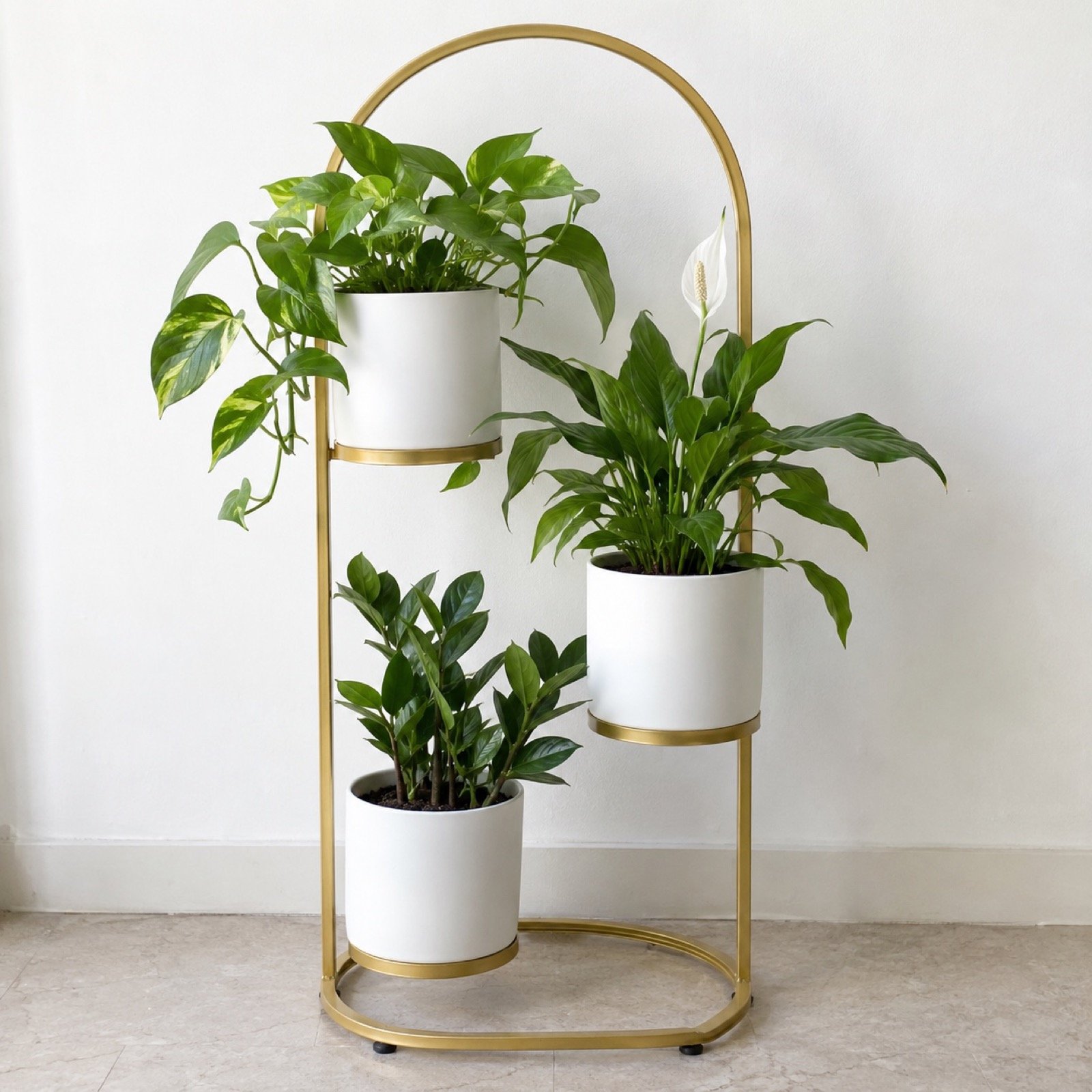 Gold arch indoor planter stand with three white round pots and green plants on a light floor