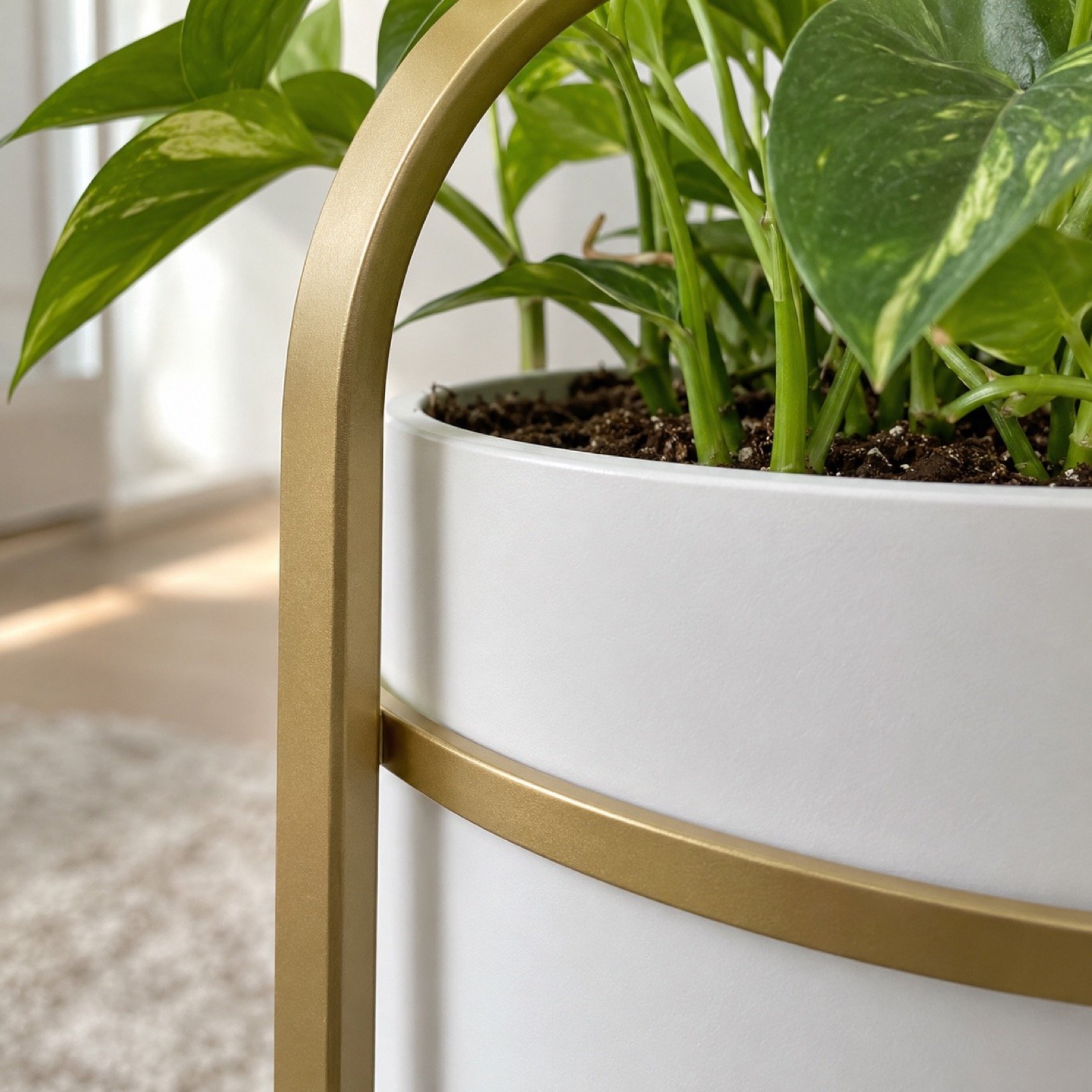 Close-up of gold powder-coated steel arch and matte white planter pot finish
