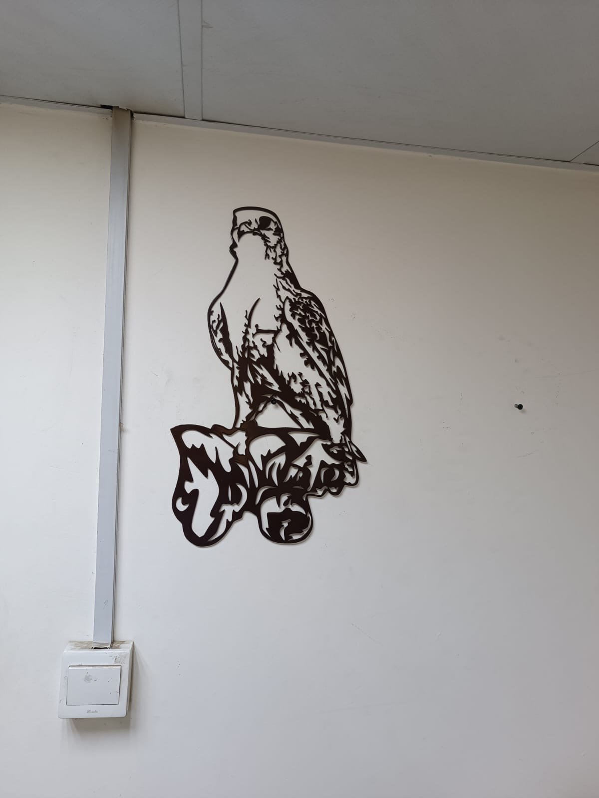 Falcon metal wall art in a UAE office